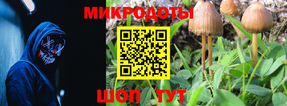Гудермес  Галлюциногенные грибы Cubensis  Псилоцибиновые грибы Magic Shrooms  Вход с VPN 